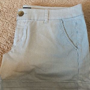 American Eagle Midi Short Size 14